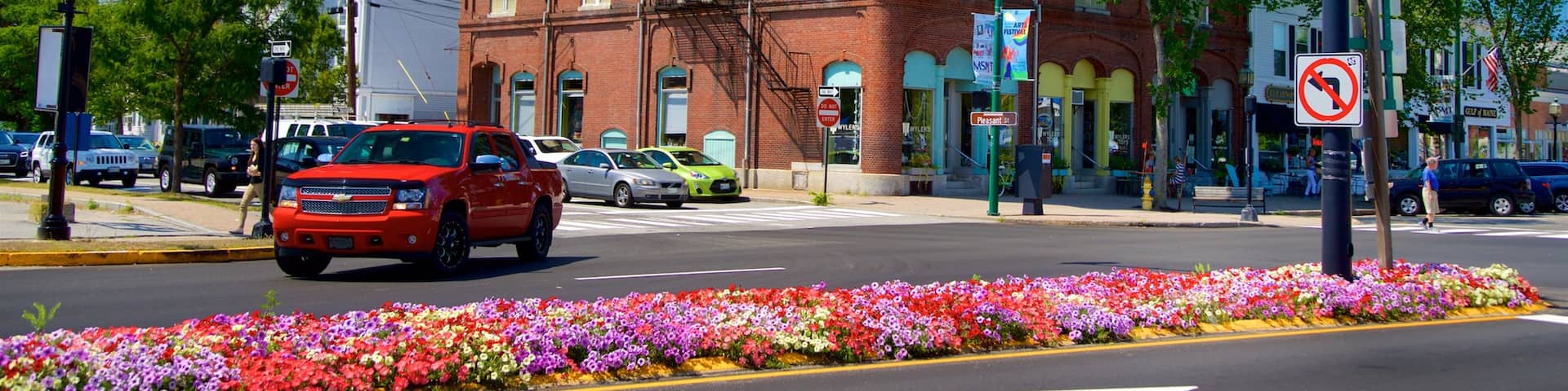Brunswick showing a church or cathedral and flowers