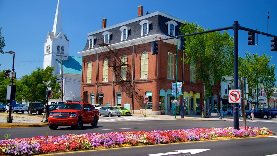 Brunswick showing a church or cathedral and flowers