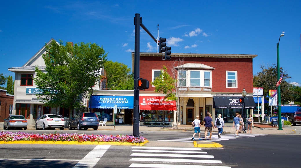 Brunswick featuring street scenes and flowers as well as a small group of people