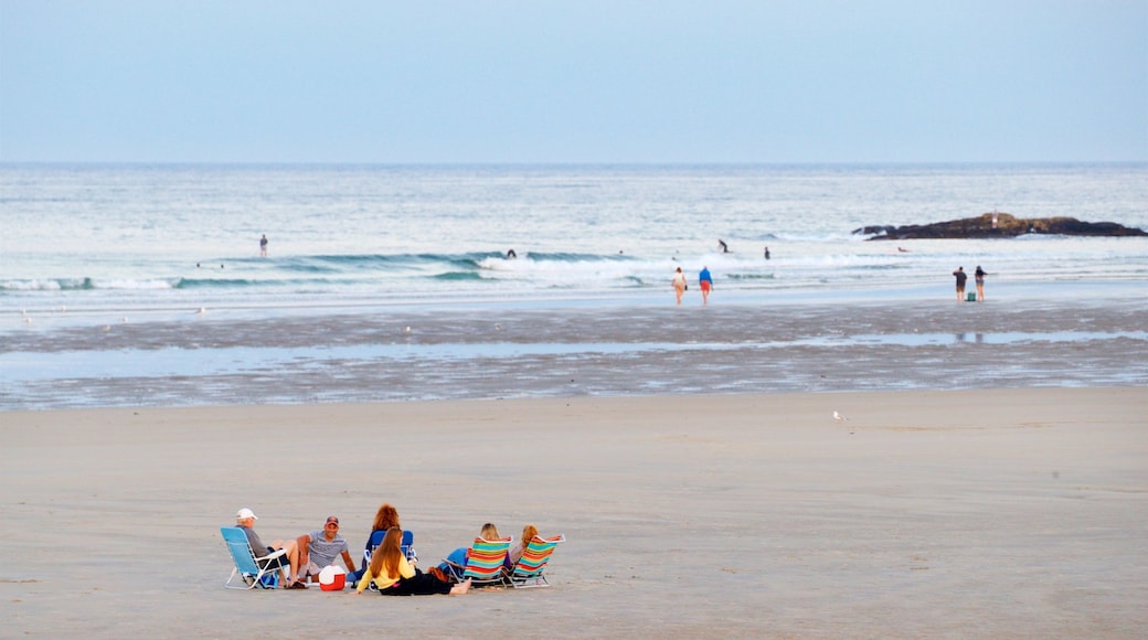 Playa Ogunquit que incluye vistas de una costa y una playa de arena y también un grupo pequeño de personas