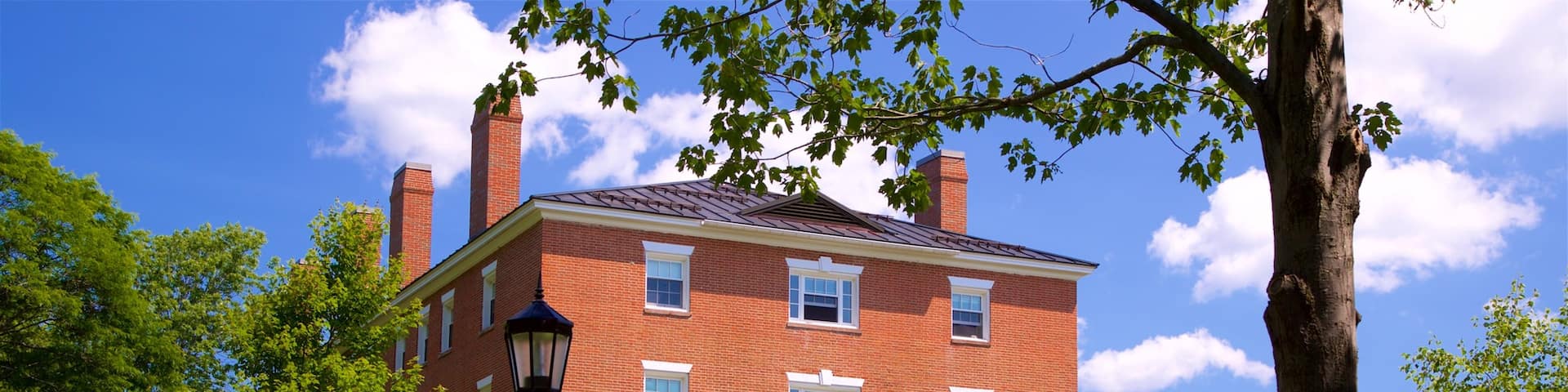 Bowdoin College featuring a park