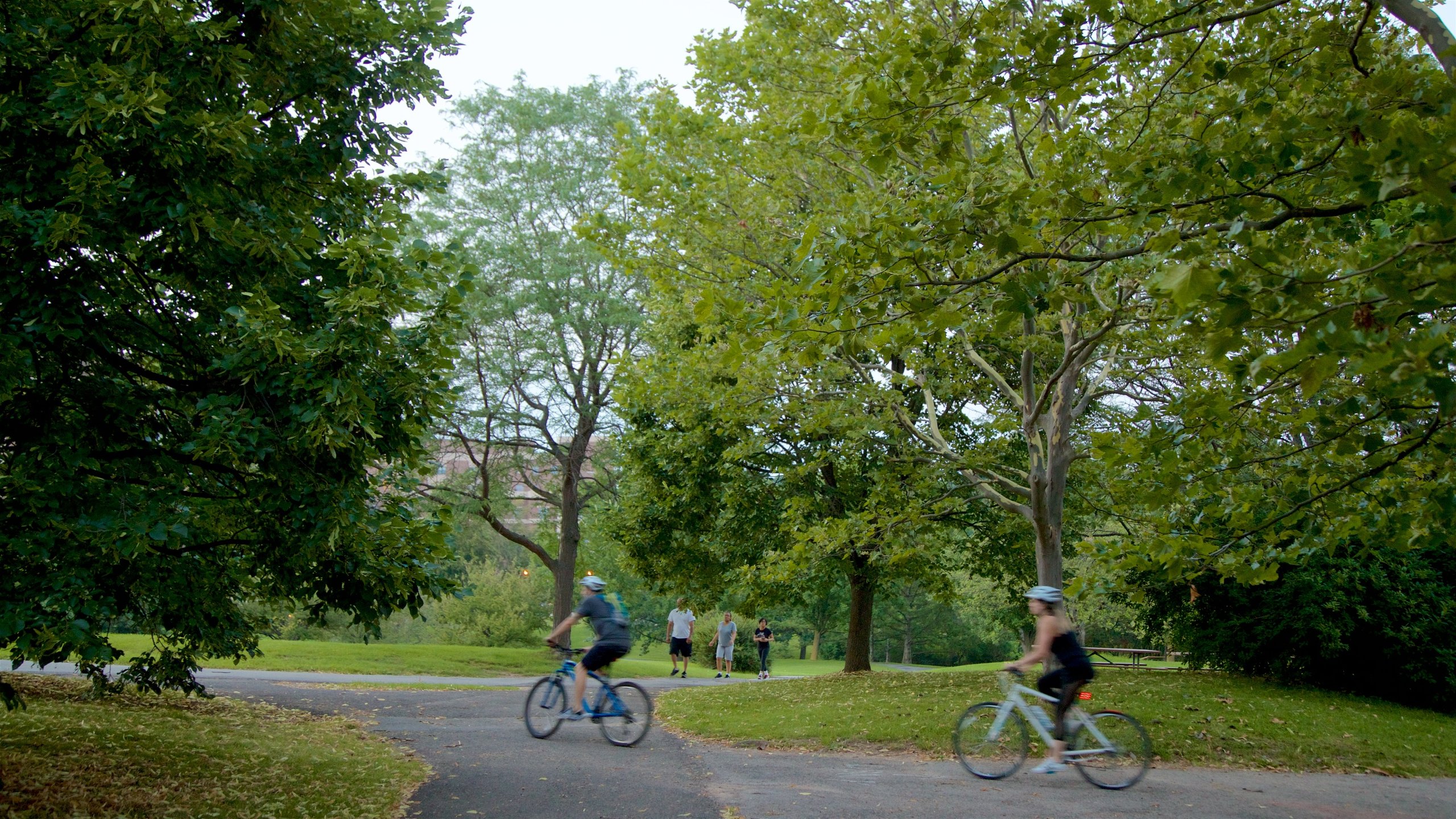 Highland park bicycle shop hot sale