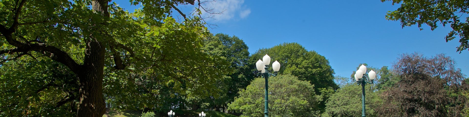 Washington Park showing a bridge and a river or creek