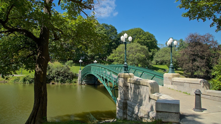 Washington Park inclusief een brug en een rivier of beek