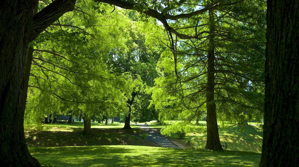 Washington Park som inkluderar en trädgård