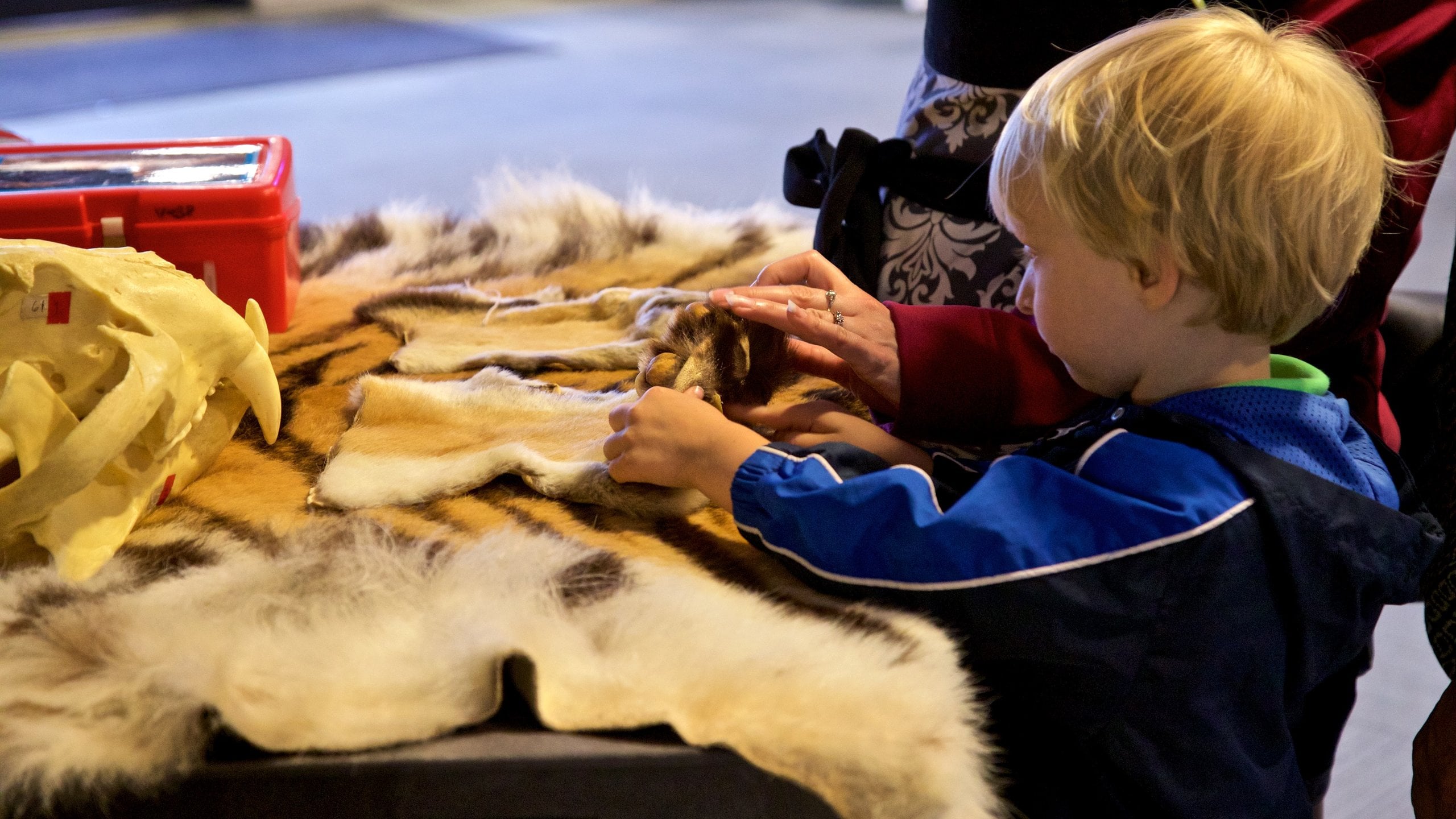 Rosamond Gifford Zoo showing interior views as well as an individual child