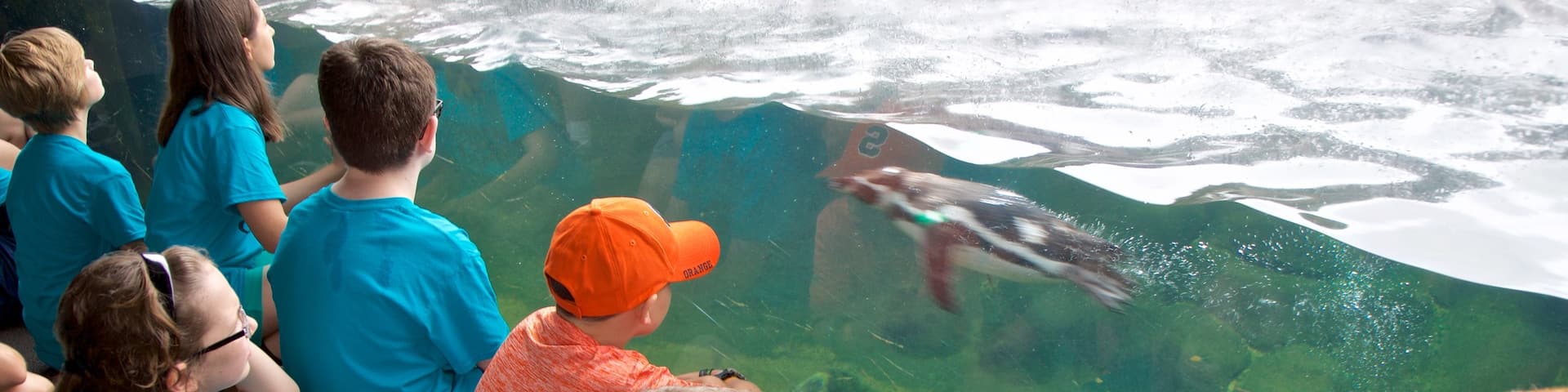Rosamond Gifford Zoo showing marine life as well as children