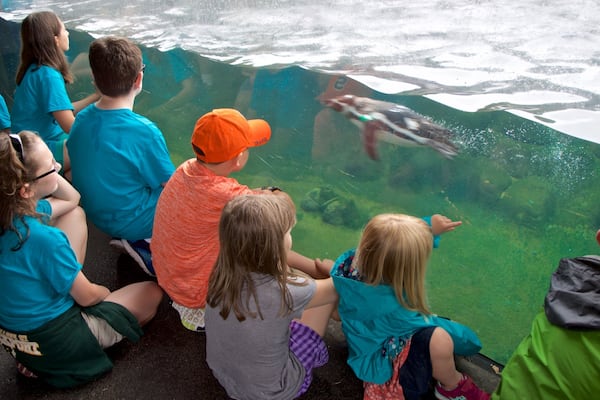 Rosamond Gifford Zoo showing marine life as well as children
