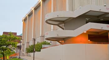 Carrier Dome bevat moderne architectuur