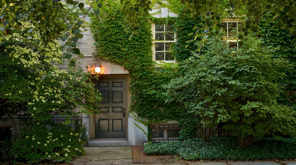 George Eastman House showing a house