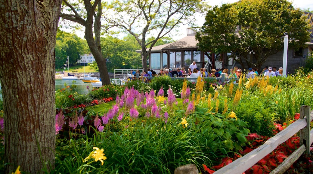 Perkins Cove showing outdoor eating, a garden and wild flowers