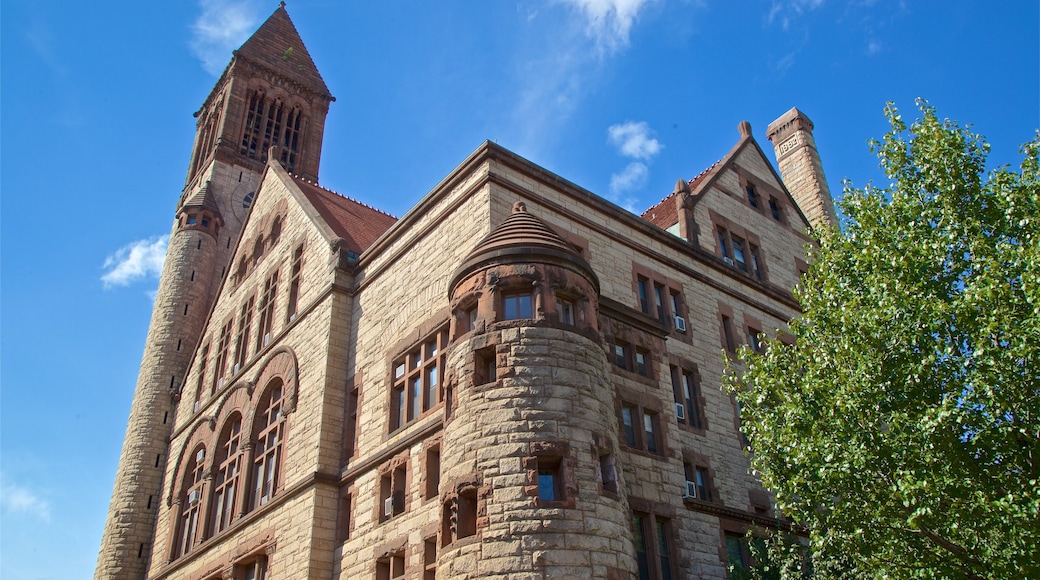 Albany City Hall which includes heritage architecture