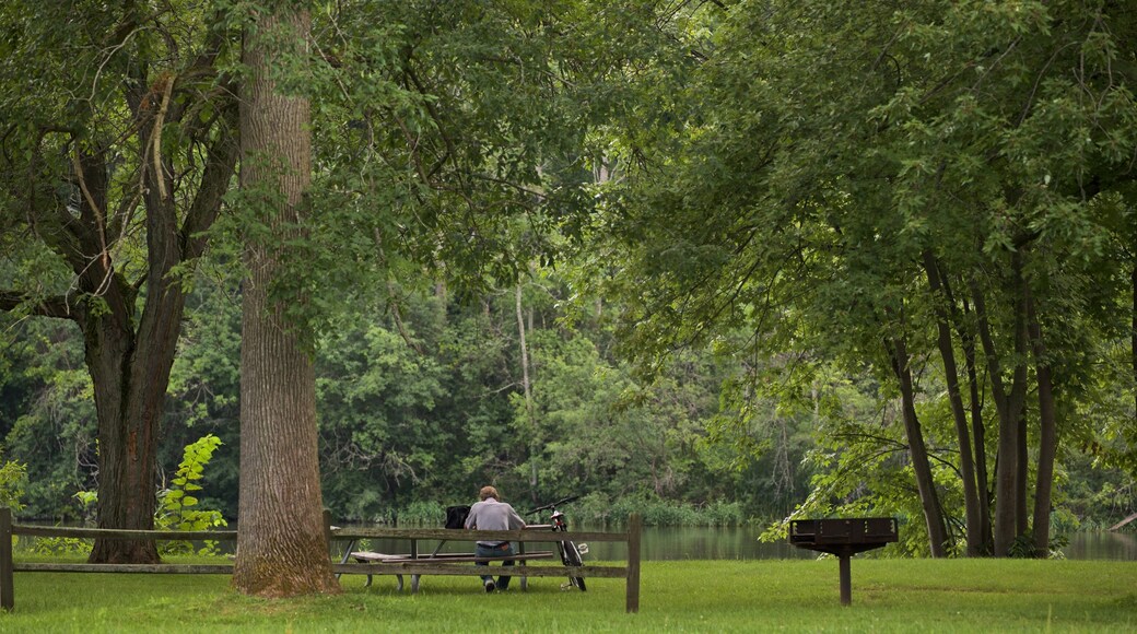 Lake Onondaga which includes a garden as well as an individual male