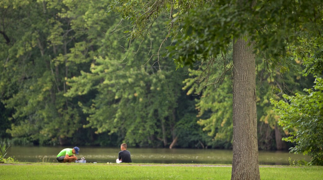 Lake Onondaga showing a park as well as a family