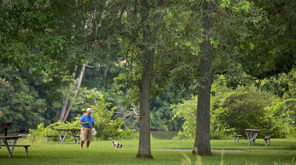 Lake Onondaga som omfatter venlige dyr, en park og vandring eller gåture