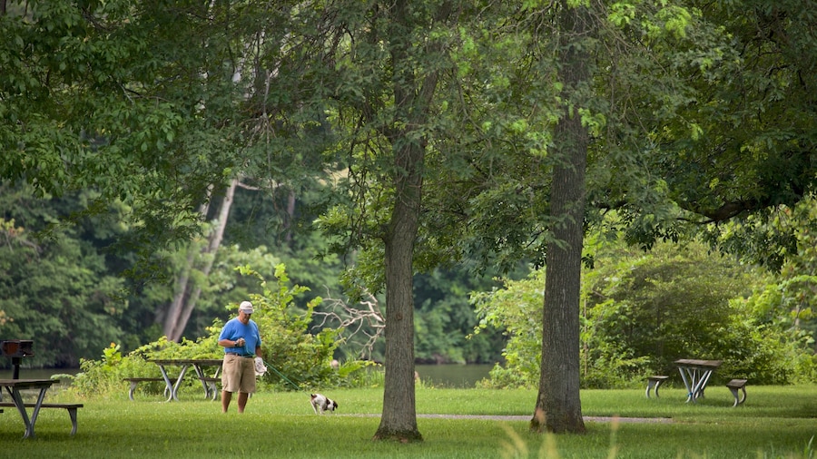 Lake Onondaga which includes cuddly or friendly animals, a park and hiking or walking