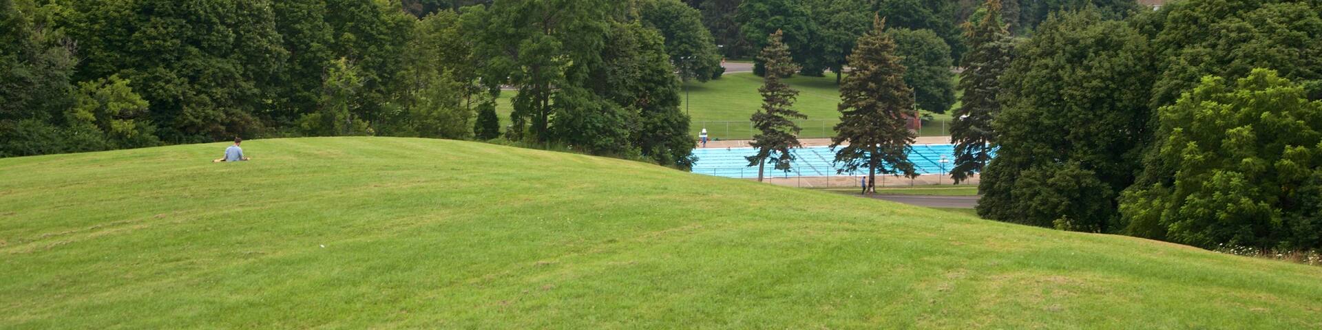 Thorndon Park featuring a park