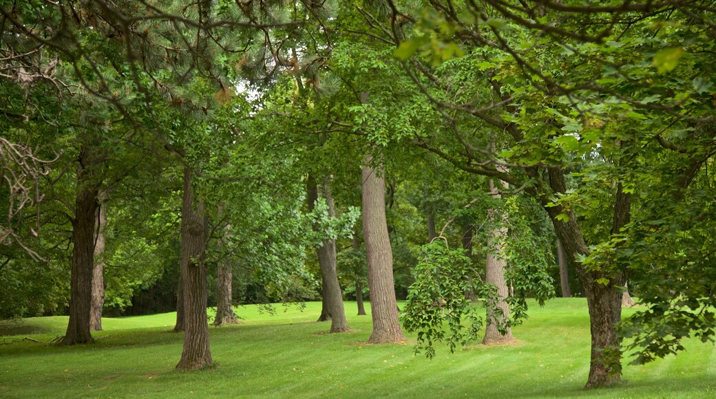 Thorndon Park caracterizando um parque