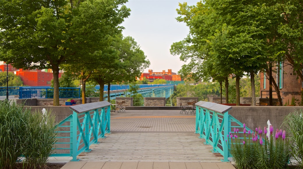 Genesee River\'s High Falls showing a park