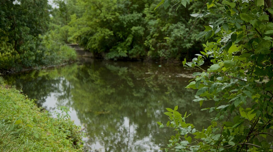 Parque estatal histórico de Old Erie Canal que incluye un estanque