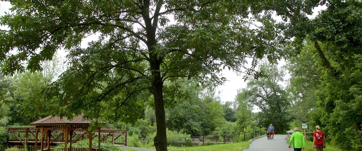 Old Erie Canal Historic State Park featuring a park and hiking or walking as well as a couple