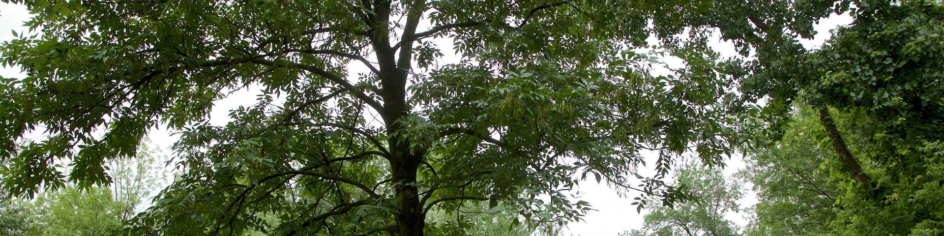 Old Erie Canal Historic State Park featuring a park and hiking or walking as well as a couple