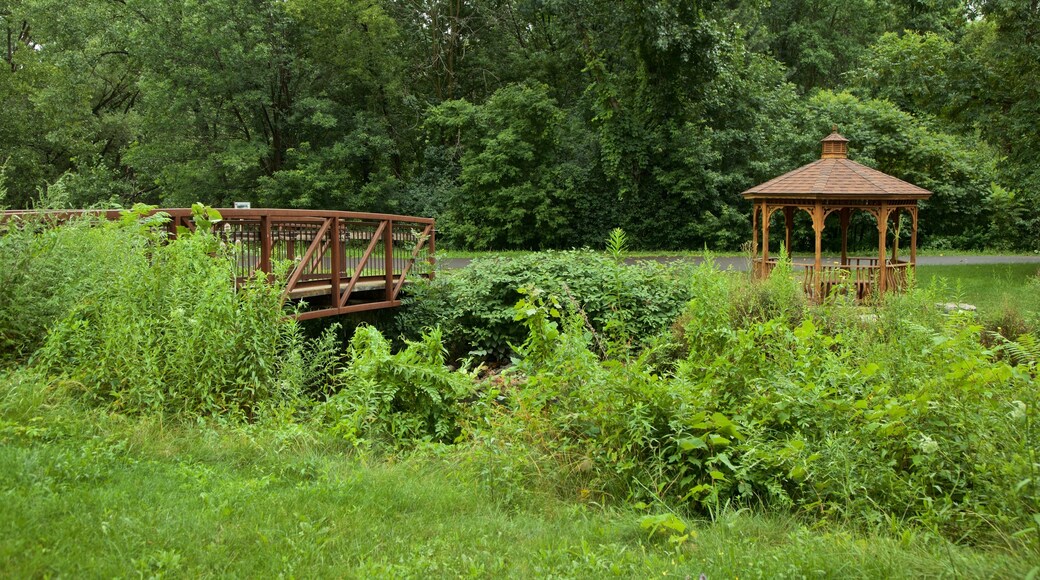 Old Erie Canal Historic State Park mit einem Park und Brücke