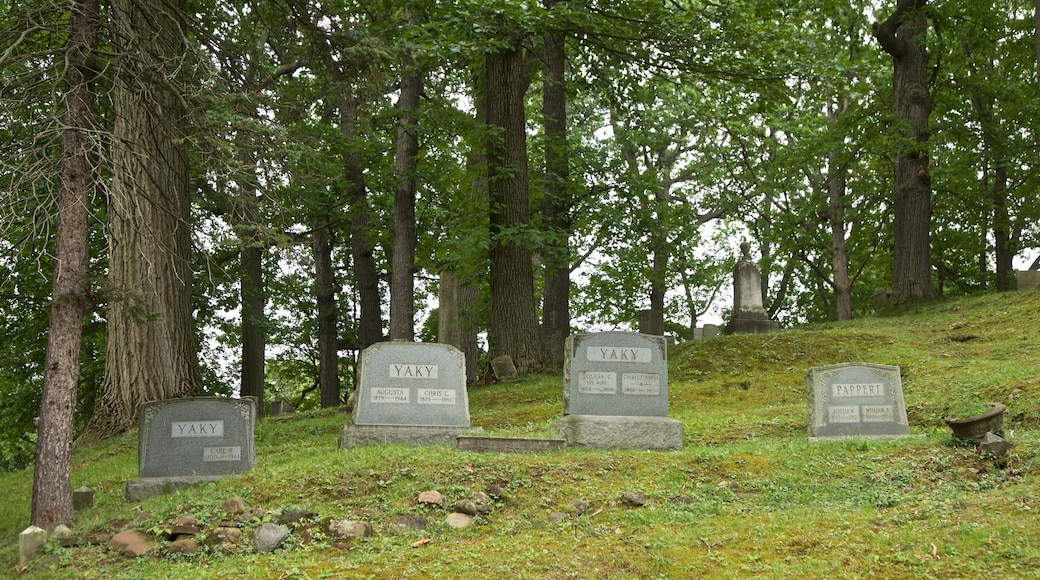 Mount Hope Cemetery som visar en kyrkogård