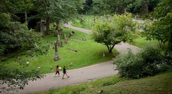 Mount Hope Cemetery which includes a cemetery and hiking or walking as well as a couple
