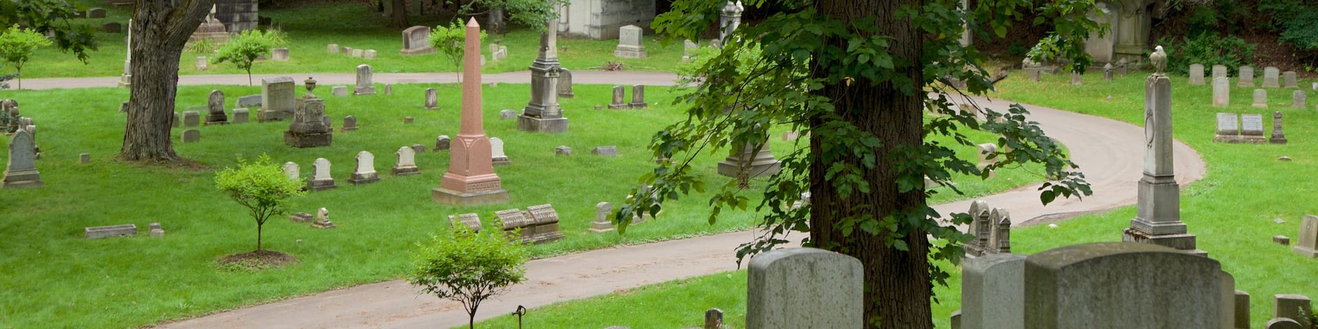 Mount Hope Cemetery featuring a cemetery