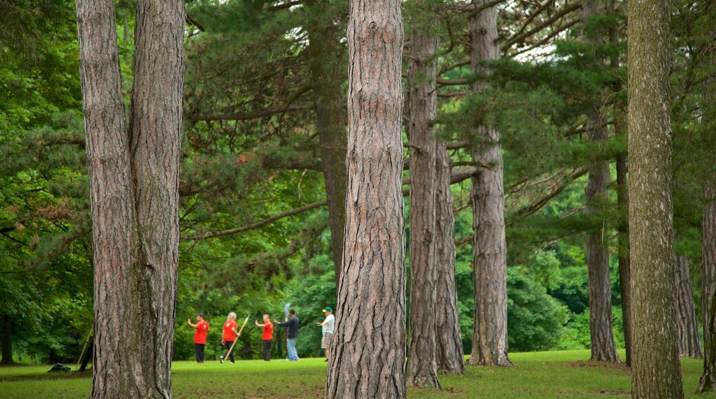 Cobbs Hill Park which includes a park as well as a small group of people