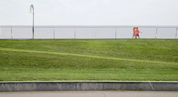 Cobbs Hill Park som visar vandring och en trädgård såväl som ett par