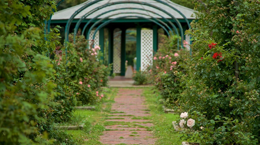 Rosaleda E.M. Mills mostrando flores silvestres y un jardín