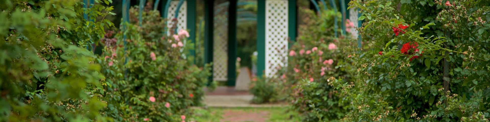 E.M. Mills Rose Garden featuring a park and wild flowers