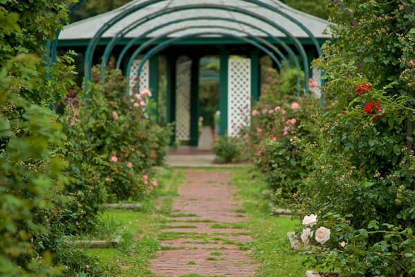 E.M. Mills Rose Garden featuring a park and wild flowers