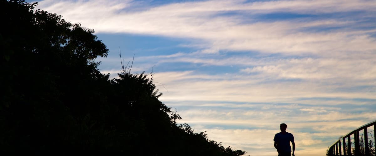 Parque Fort Williams ofreciendo una puesta de sol y senderismo o caminata y también un hombre