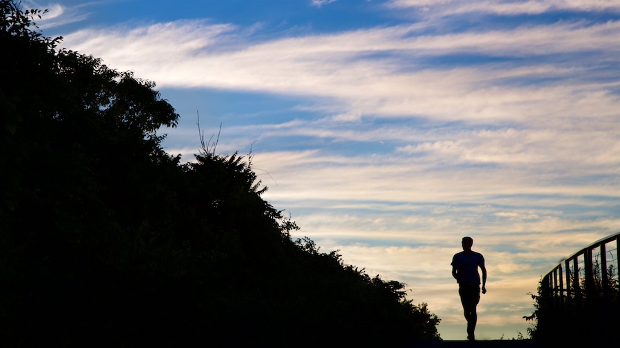 Fort Williams Park showing a sunset and hiking or walking as well as an individual male