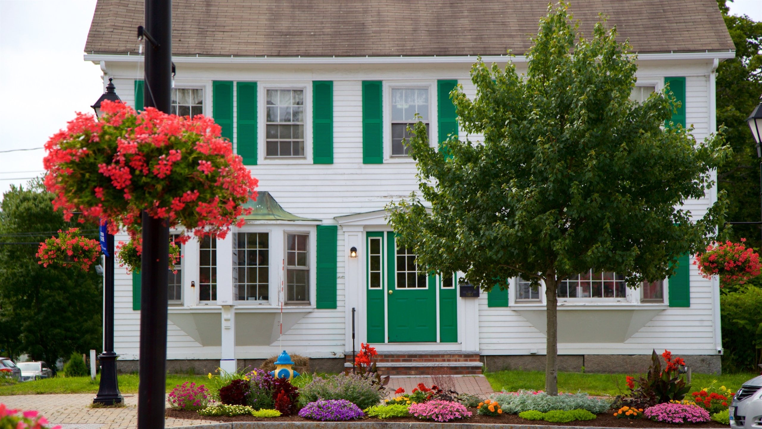 Kennebunk showing wildflowers, flowers and a house