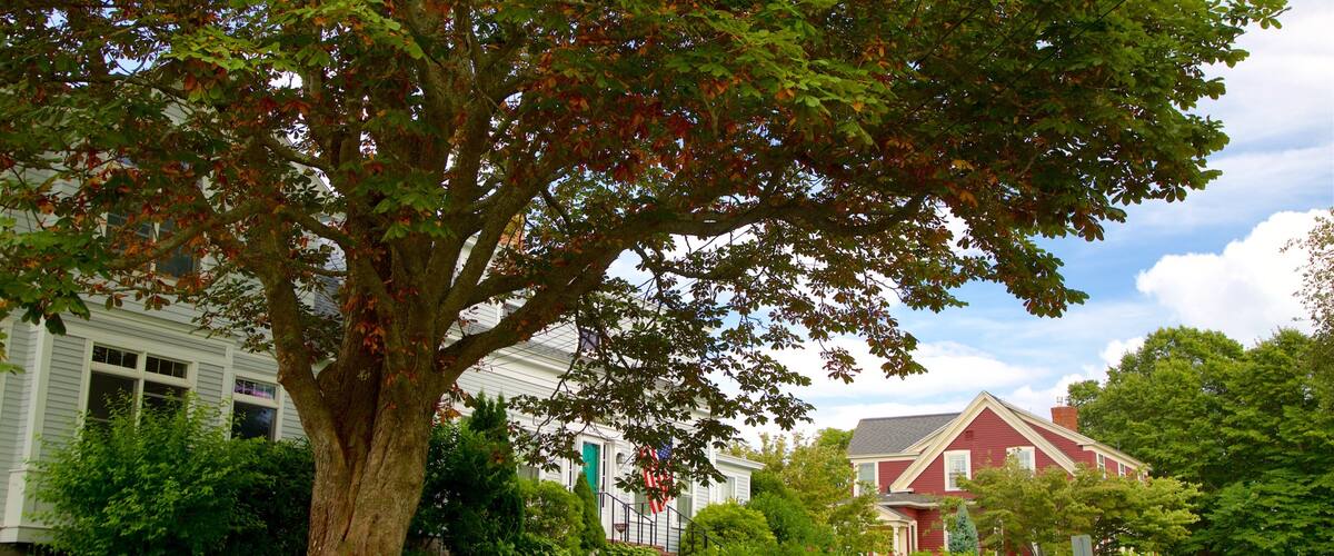 Cape Porpoise mettant en vedette petite ville ou village