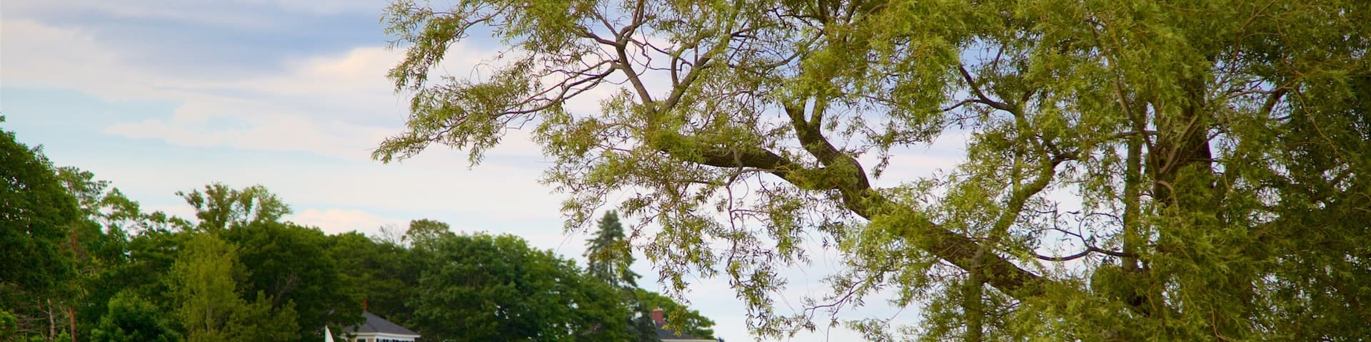 Cape Porpoise showing a river or creek and kayaking or canoeing as well as a couple