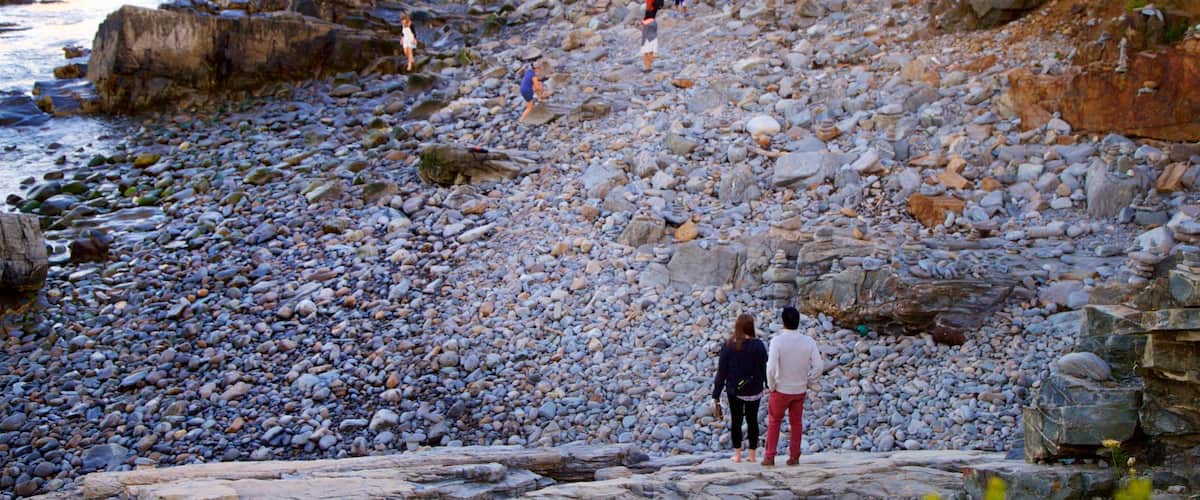 Fort Williams Park featuring a pebble beach, rocky coastline and general coastal views