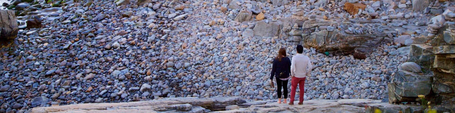 Fort Williams Park featuring a pebble beach, rocky coastline and general coastal views