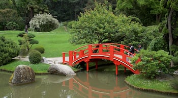 Giardino giapponese di Tolosa mostrando parco, ponte e laghetto