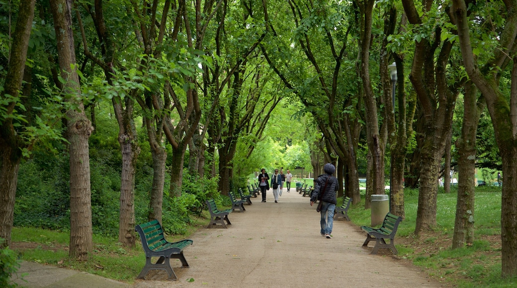 Jardín Japonés de Toulouse mostrando senderismo o caminata y un parque y también un pequeño grupo de personas