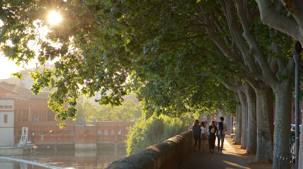 Garonne que inclui um pôr do sol, um jardim e um rio ou córrego