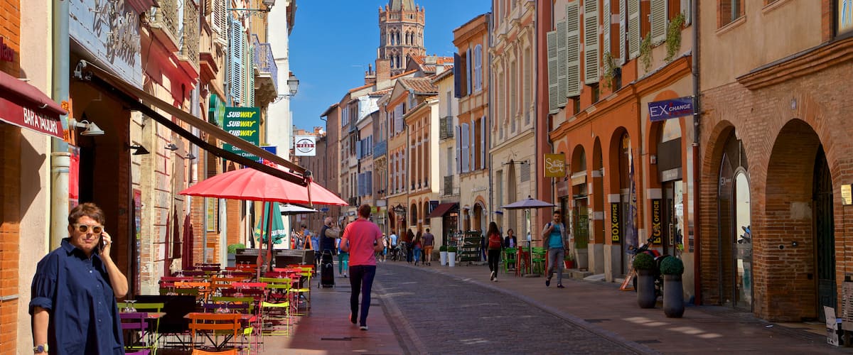 Toulouse ofreciendo una ciudad y escenas urbanas y también un pequeño grupo de personas