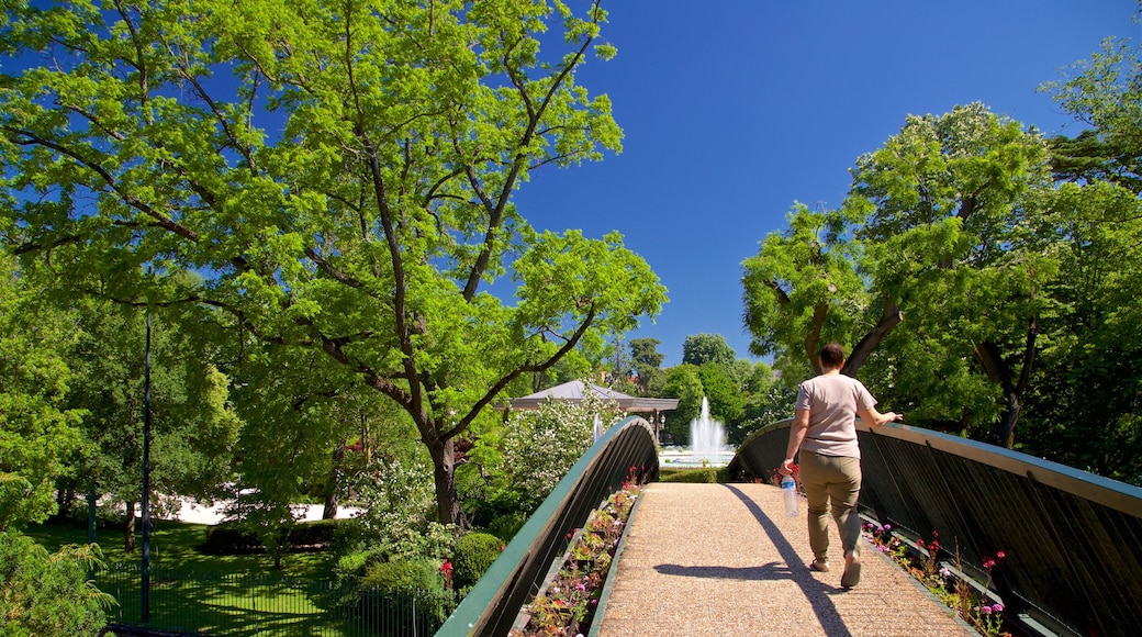 Toulouse showing a bridge as well as an individual female