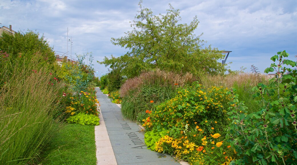 MĂącon qui includes fleurs sauvages