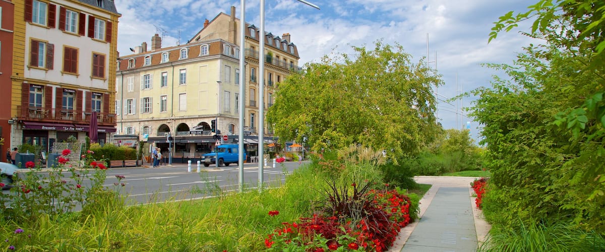 Macon which includes wild flowers