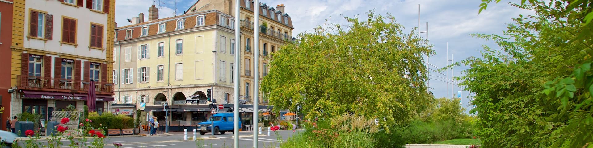 Mâcon das einen Wildblumen